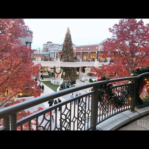 Meet the Posher Other - Meet your Posher, Shiny